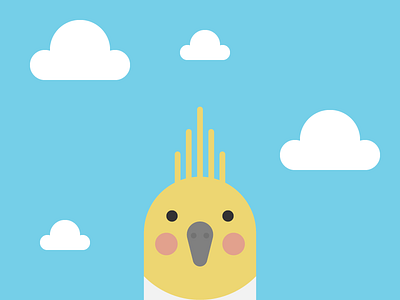 Cockatiel bird clouds cockatiel cute sky