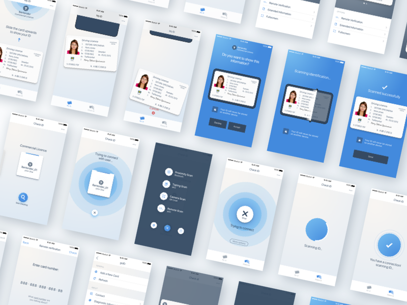 Example of Identification App