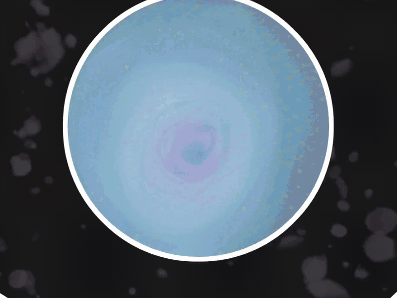 Coraline Gif 2d adobe animation character animation coraline gif mograph motion graphics photoshop