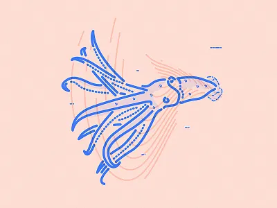 Cock Eyed animal character colour and lines deep sea earth globe icon illustration natural planet squid swim