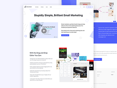 Benchmark Email, Simple Brilliant Email Marketing email landing page marketing webdesign