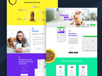 Homepage design app design home pets ui vet web
