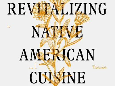 Revitalizing Native American Cuisine design graphic design layout typography