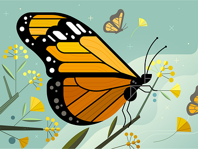 Monarch Butterfly Migration monarch butterfly nature uber design