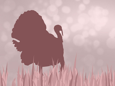 Hunting App Default Images 3/4 hunting illustration turkey