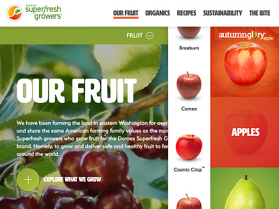 Our Fruit Navigation agriculture apples farming fruit pears sidebar ui ux web design website