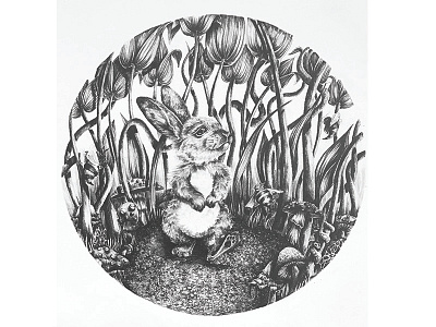 oblivious animal bunny character design graphite illustration