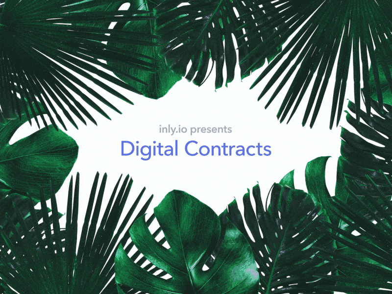 Digital Contracts after effects animations contracts digital gif illustration leaves ui