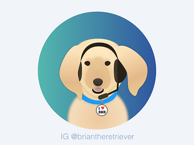 Medipass Customer Service Avatar Special Staff I avatar customer service dog golden retriever healthcare illustration medipass melbourme pet ui ux