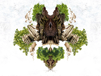 Fortitude abstract floating nature photo manipulation rocks roots