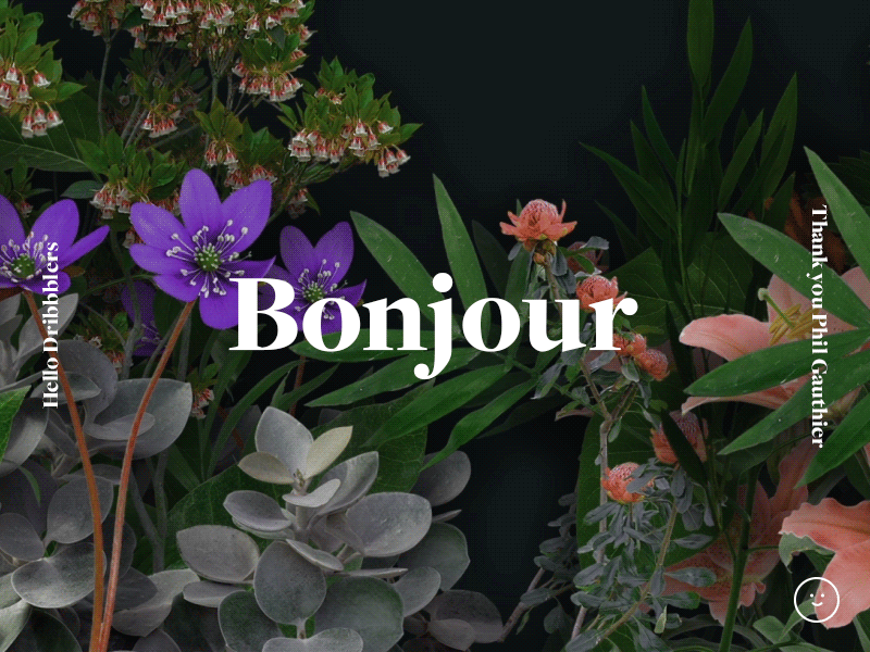 Bonjour Dribbblers cover flowers introduction splash