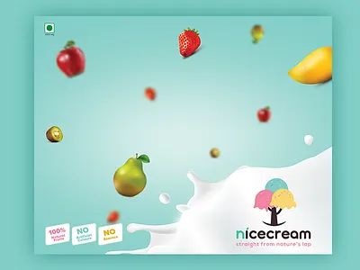Nicecream freezer packaging