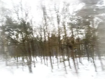 My longest winter moving painter snow trees winter