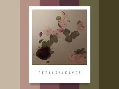 Colour Inspiration #5 color colour design floral flowers inspiration palette water