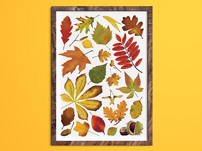 Autumn Leaves art artwork autumn autumn leaves illustration illustrator leaves print wall art