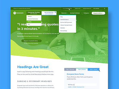 Moraware Stylescape ui ux web design