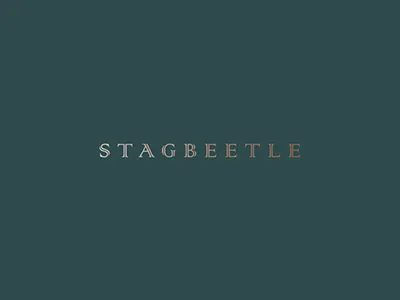 Stagbeetle branding design identity logo