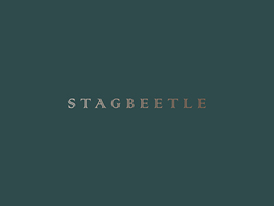 Stagbeetle branding design identity logo