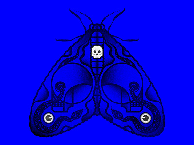 Moth Skull Snake cintiq eye grain moth skull snake