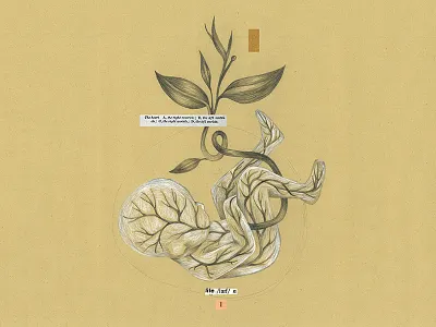 Birth baby birth child draw drawing illustration illustrator medicine memory nature science vintage