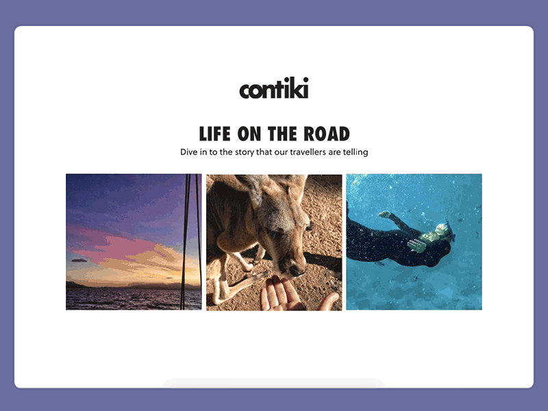 Instagram Image Gallery Viewer Widget animation carousel gallery image gallery instagram overlay photography popup travel widget