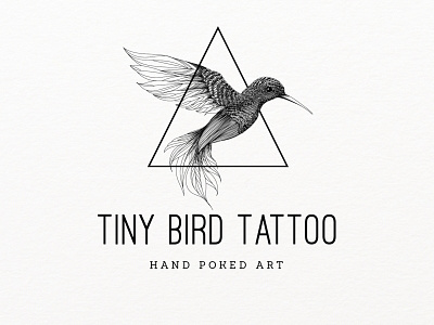 Humming bird design art bird change design detailed geometric hummingbird illustration logo realistic tattoo transition