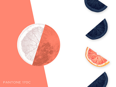 P 170 C citrus contrast duotone fruit grapefruit lemon orange pantone