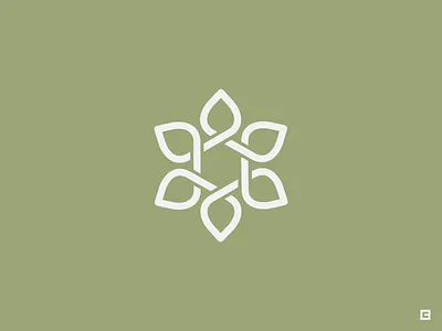 Vinyasa flower lotus meditation vinyasa yoga