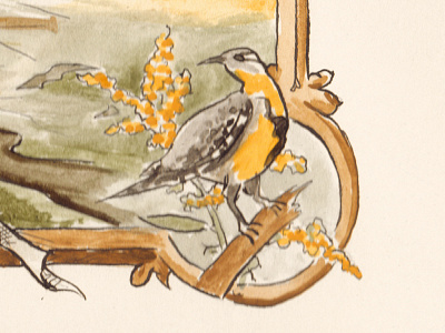 Western Meadowlark bird nebraska watercolor