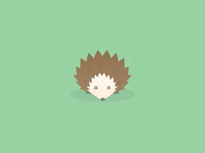 Hedgehog Illustration cute hedgehog illustration
