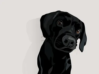 Paka black dog illustration simple