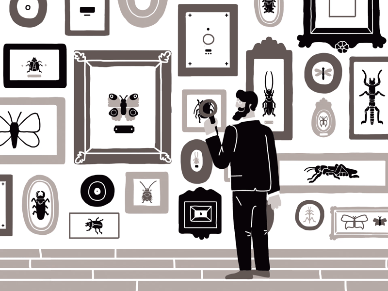 METAMORPHOSIS #1 animation bug collector feelings illustration insects kafka metamorphosis mood