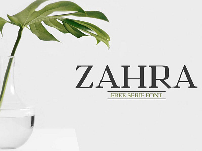 Free Zahra Serif Font art artistic display fashion font inline modern