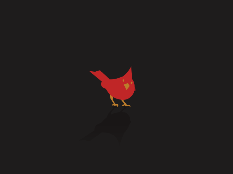 Cardinal bird cardinal gif