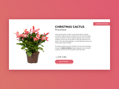 Daily UI #096 – Currently In Stock dailyui in stock shopping ui ui challange user interface