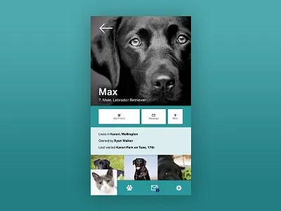 Pet Friendly Social Media Application Mockup app cats dogs media mobile mockup pets social ui ux