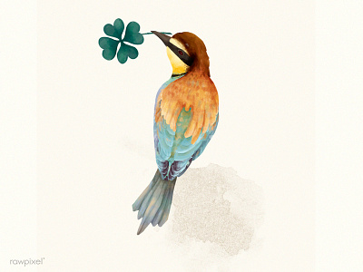 Bee Eater bee eater bird character clover digital painting illustration leaf luck wildlife