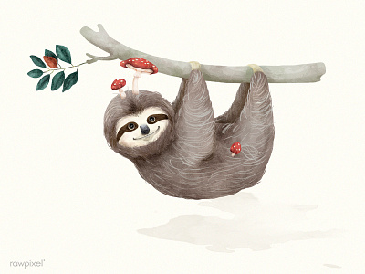 Sloth adorable character hanging illustration mushroom paint sloth tree wildlife