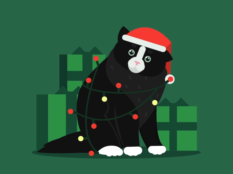 Cute Cat In Hat cartoon cat christmas cute design flat illustration motion vector