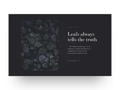 Leaf concept design minimalistic webdesign