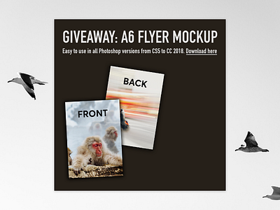 Daily UI #097 – Giveaway dailyui dgiveaway free freebie ui ui challange user interface