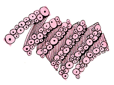 Eye Snake copic eye illustration pink snake