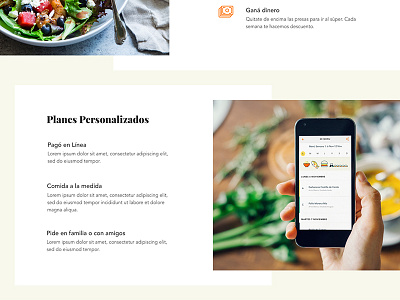 Meal Plans Landing Updates food iconography illustration layout ui ux