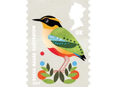 Angolan Pitta birds illustration tropical vector