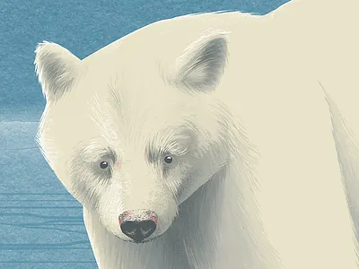 West Coast of Canada: Travel Poster Close-Up bear british columbia canada illustration