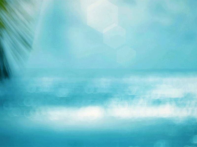 Jungle Animation after effects animation beach compositing motion design nature pacific parallax tropical water