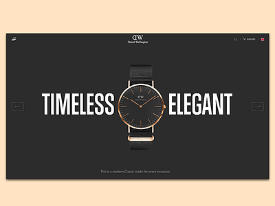 Landing page - Daniel Wellington watches design landing moeketsi lebakeng mokay product product design south africa ui ux web