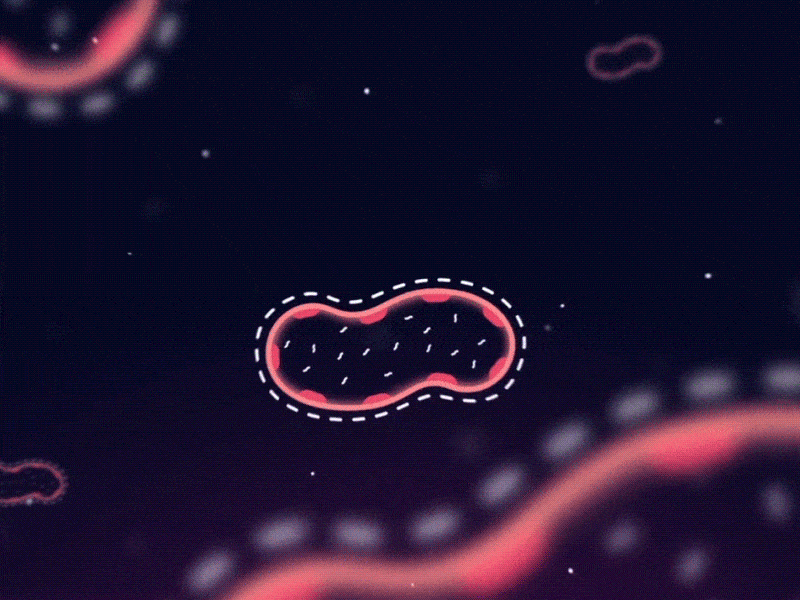 Koniku — Explainer Video animation design explainer koniku motion neuron video