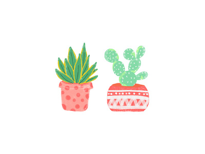 Little Cacti