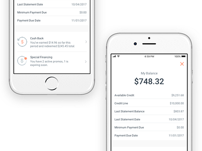 Blispay iOS - Balance Summary balance blispay fintech ios modal panel summary ui ux